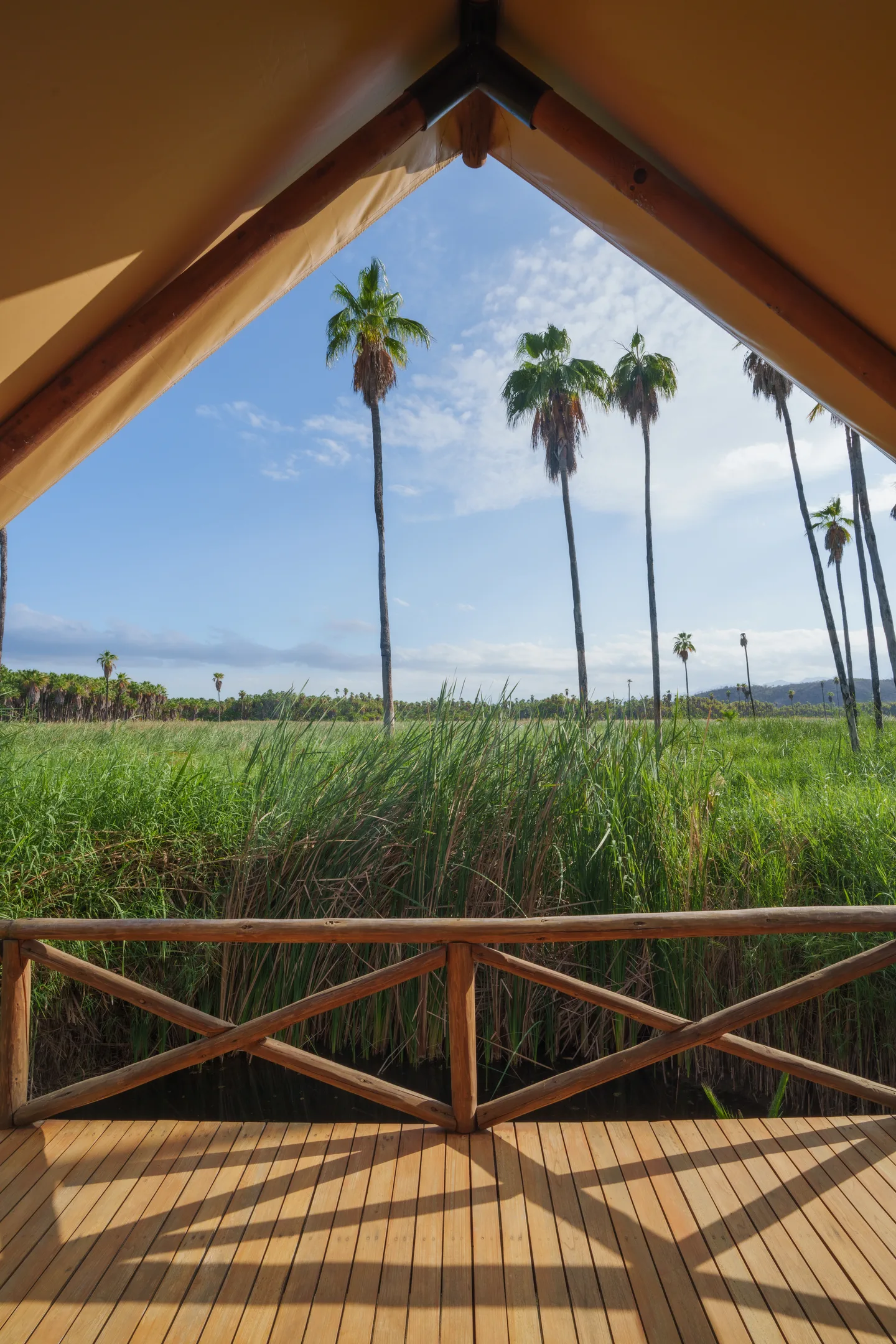 View from inside an Aqua Tent across its deck to the grassland, palms and mountains at NEST Los Cabos