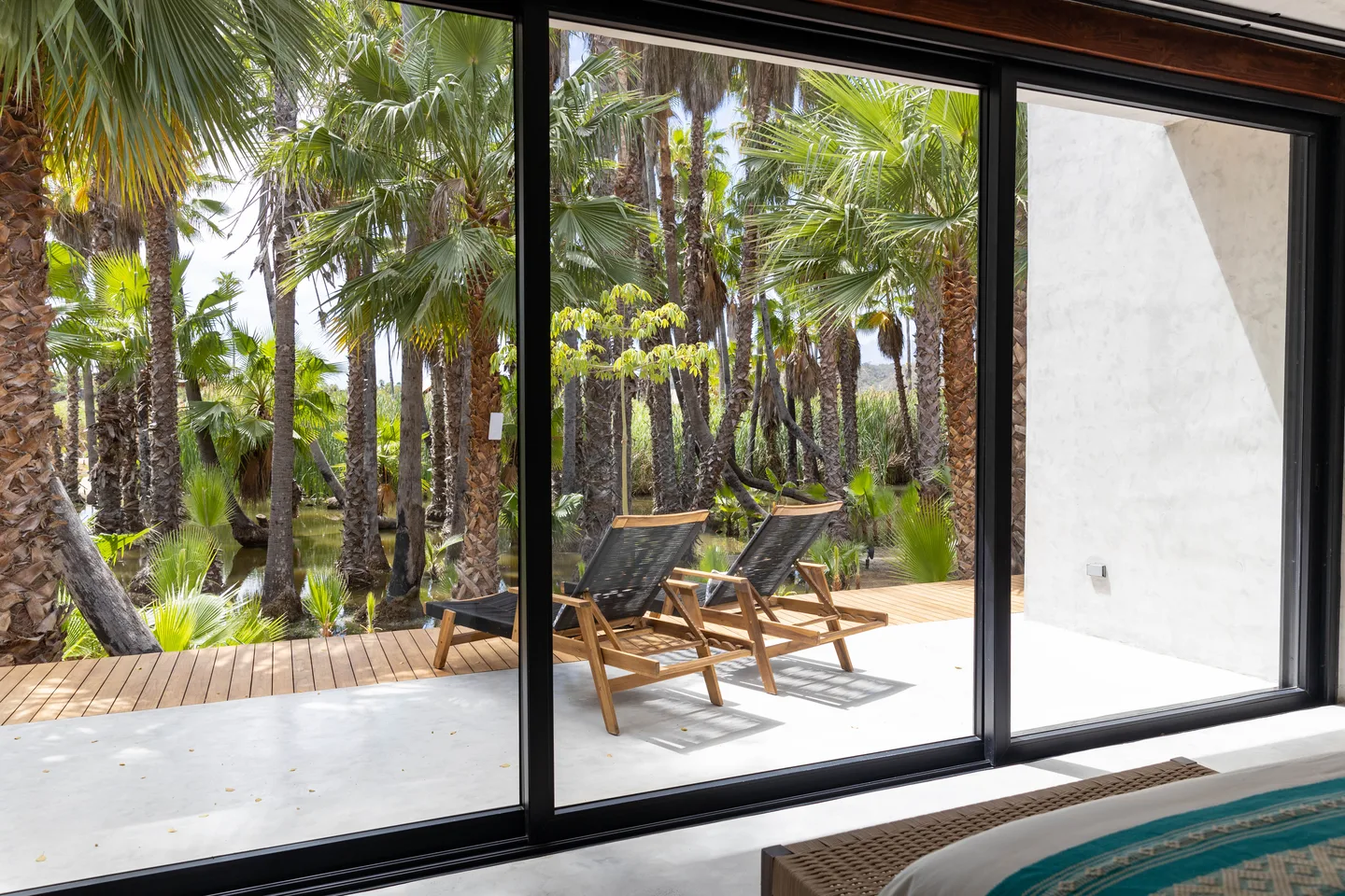 View from the bed through floor-to-ceiling glass to the terrace loungers and palm grove, Terra Room at NEST Los Cabos