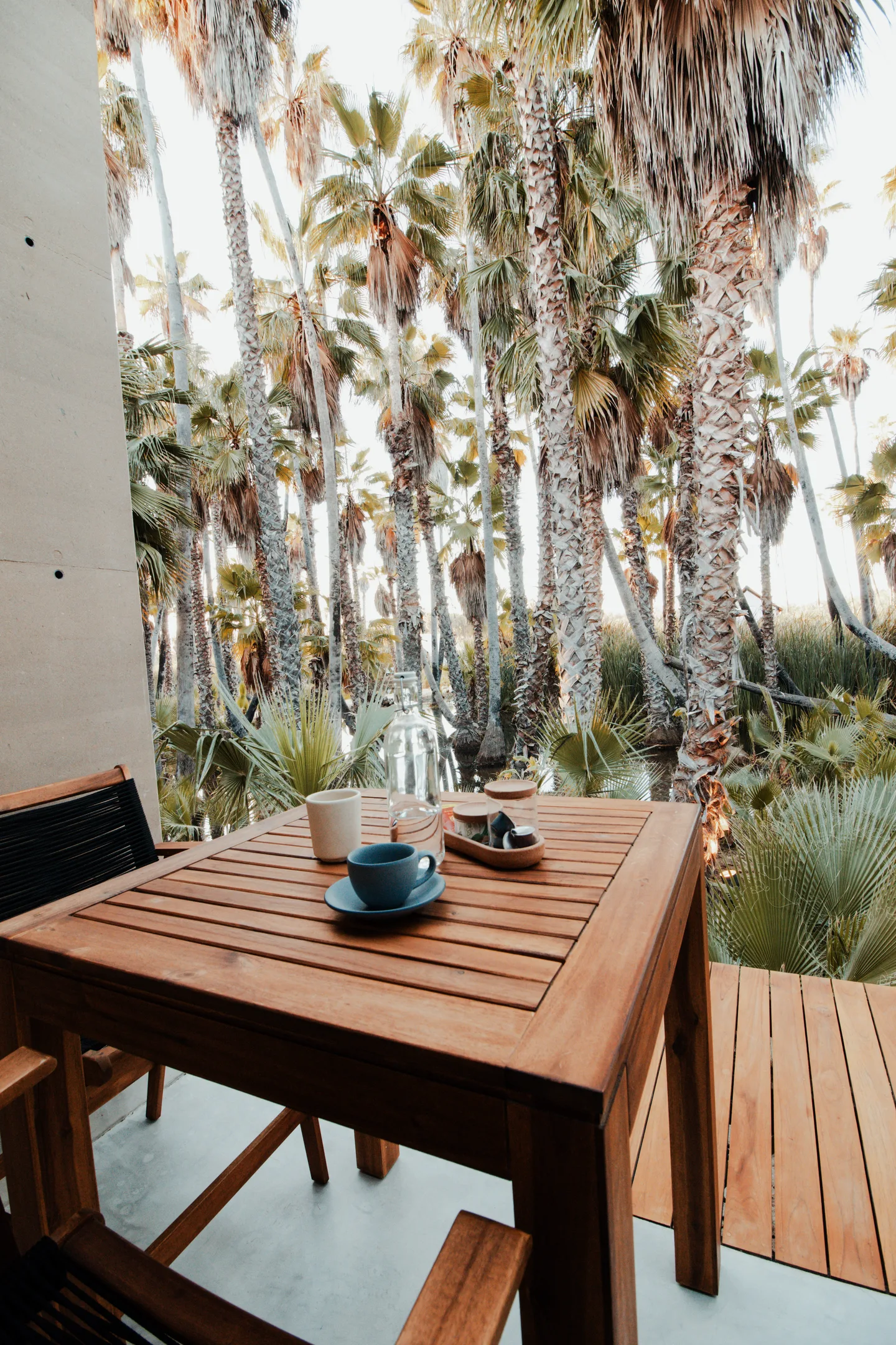 Main — Comedor en Habitación y Terraza — The Nest Los Cabos, Oasis de Santiago · La Laguna