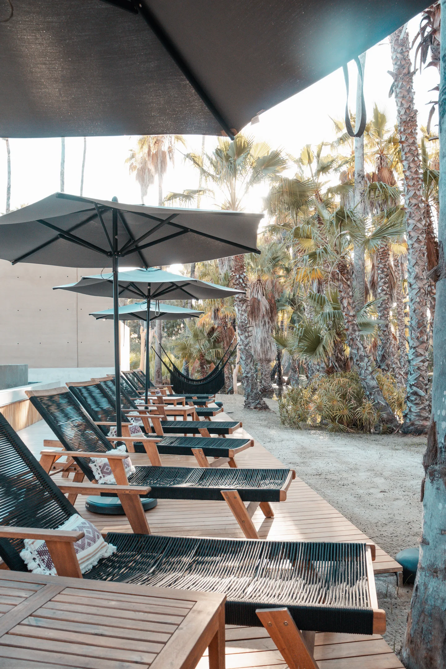 Main — Swimming Pool — The Nest Los Cabos, Santiago Oasis · La Laguna