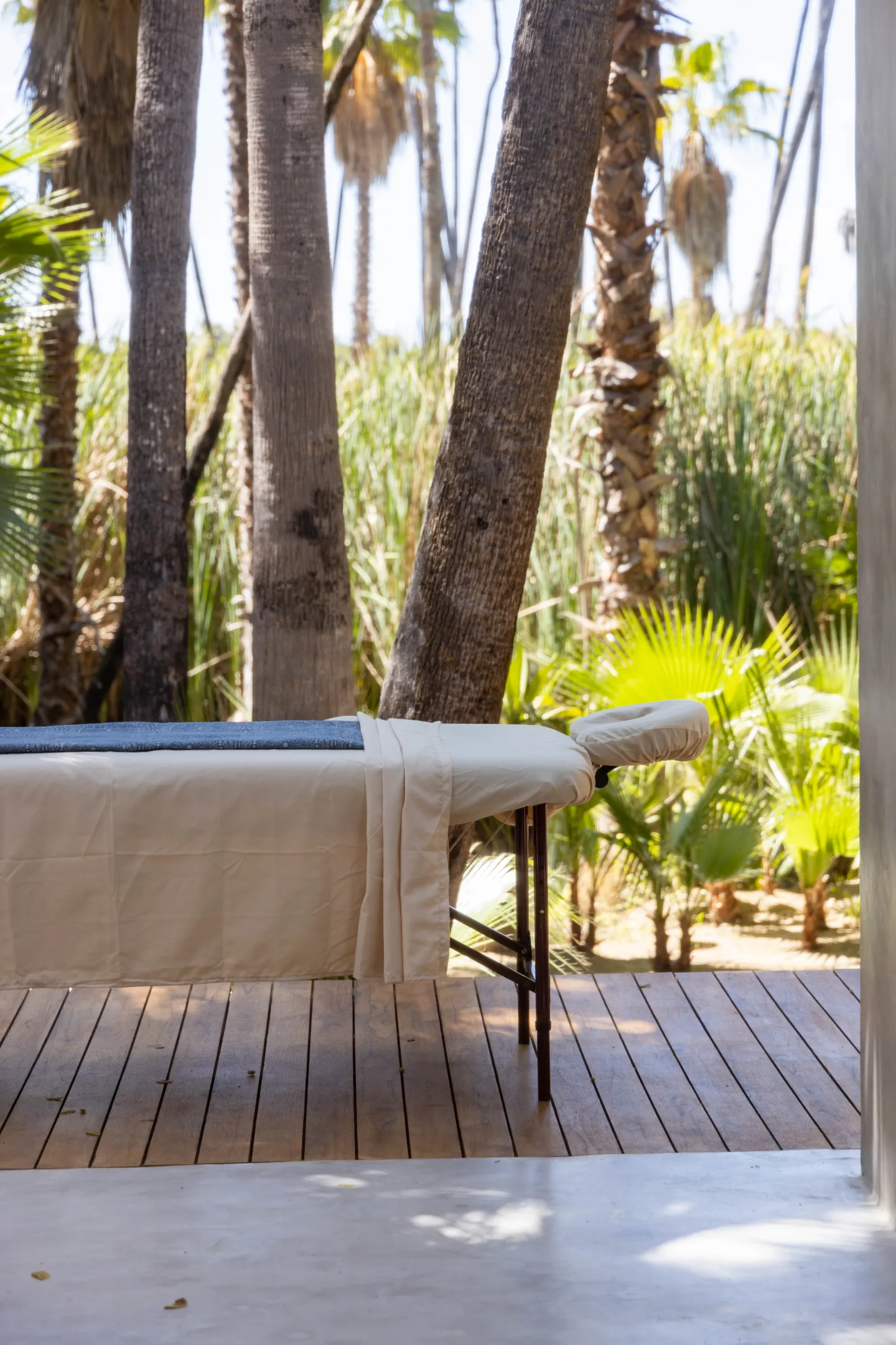 Main — Spa & Wellness — The Nest Los Cabos, Santiago Oasis · La Laguna