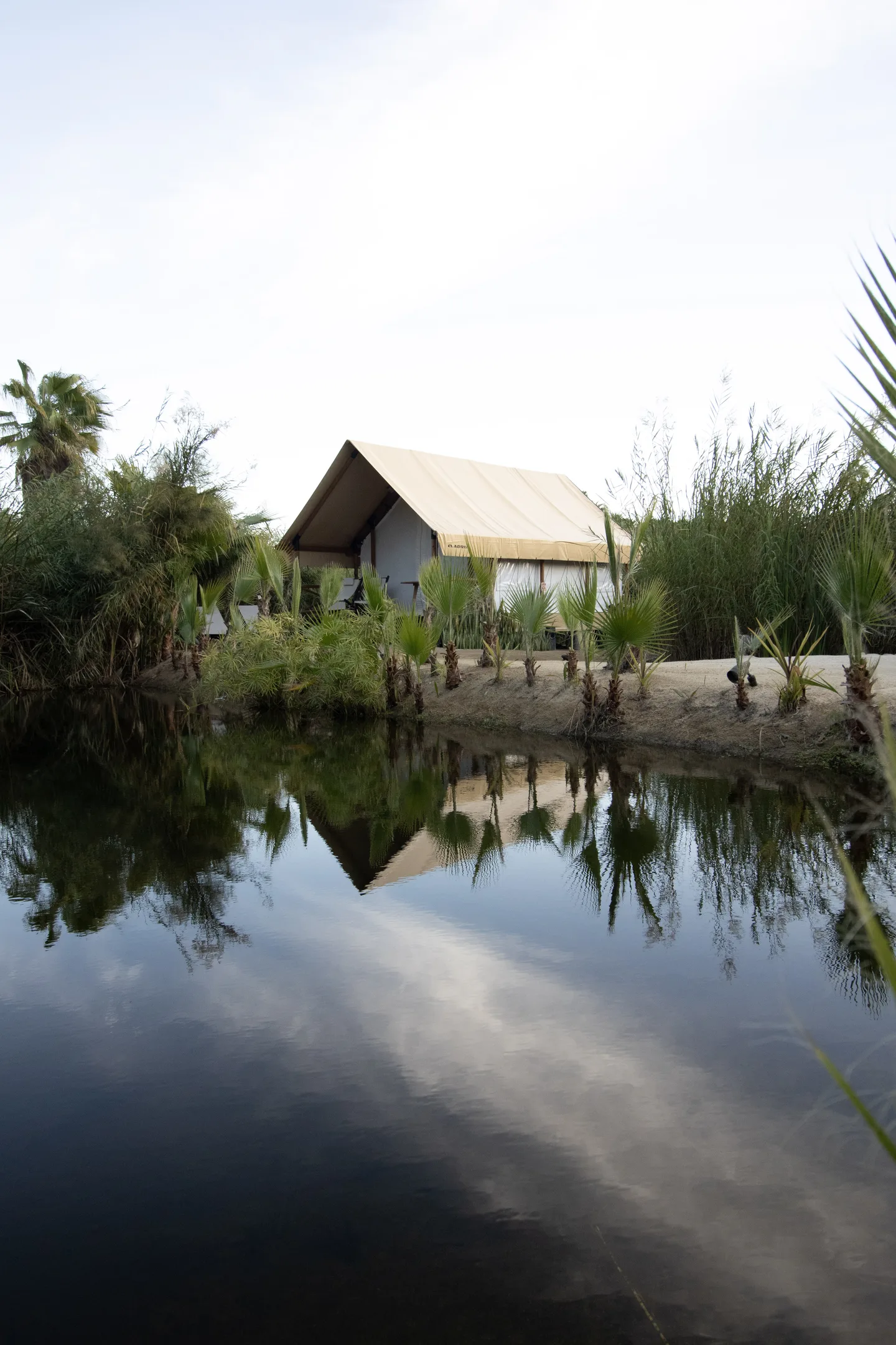 Main — The Lagoon & Oasis Gardens — The Nest Los Cabos, Santiago Oasis · La Laguna