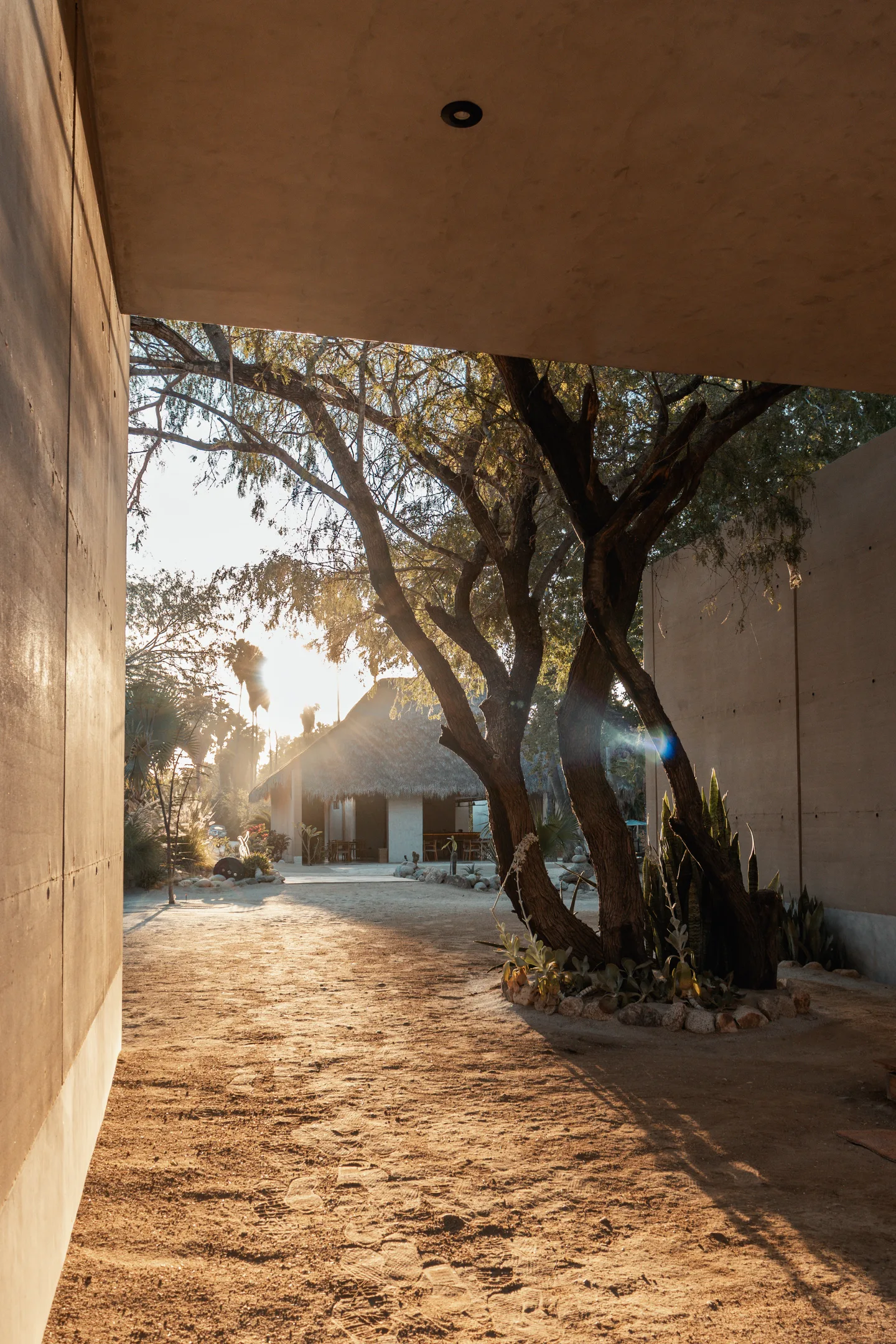 Main — Private Transfers — The Nest Los Cabos, Santiago Oasis · La Laguna